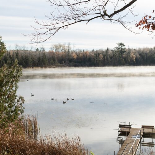 Serene, still water ideal for warm-day paddleboarding and quiet wildlife watching—keep an eye out for swans.