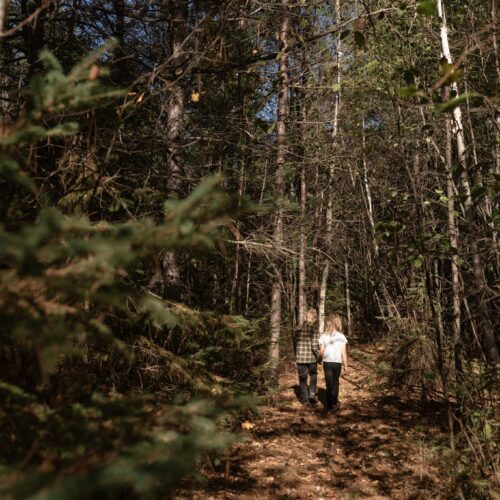 Wander Blackberry Loop, a peaceful private trail winding a half mile through the woods.