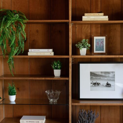 A curated bookcase layered with vintage decor and character.